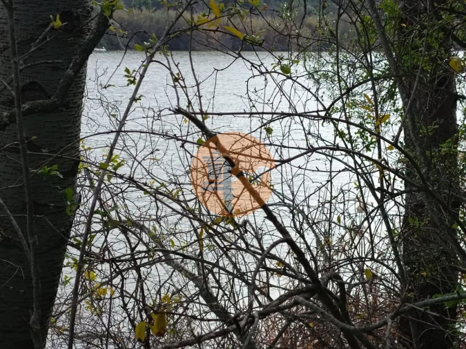 Terreno para Venda em Alcoutim e Pereiro Foto 17