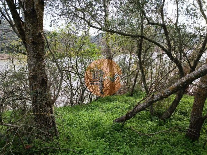 Terreno para Venda em Alcoutim e Pereiro Foto 21