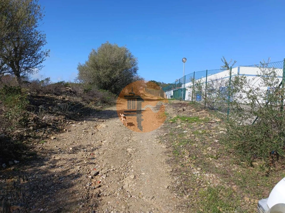 Terreno para Venda em Alcoutim e Pereiro Foto 4