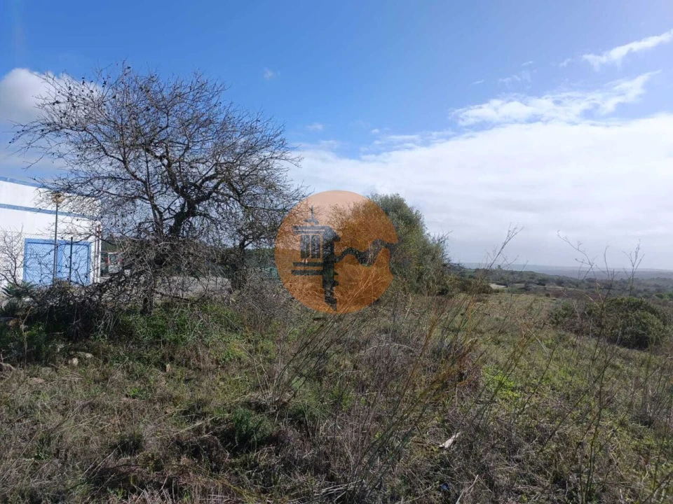 Terreno para Venda em Alcoutim e Pereiro Foto 11