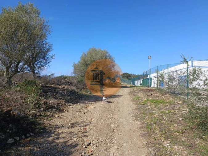 Terreno para Venda em Alcoutim e Pereiro Foto 7