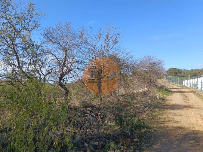 Terreno para Venda em Alcoutim e Pereiro Foto 8