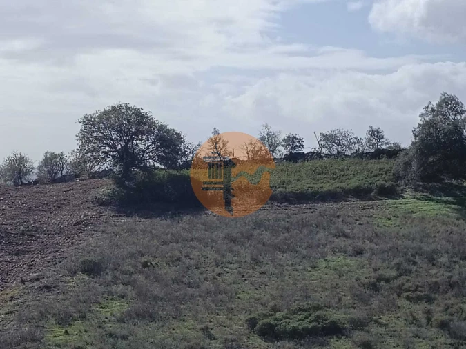 Terreno para Venda em Alcoutim e Pereiro Foto 15