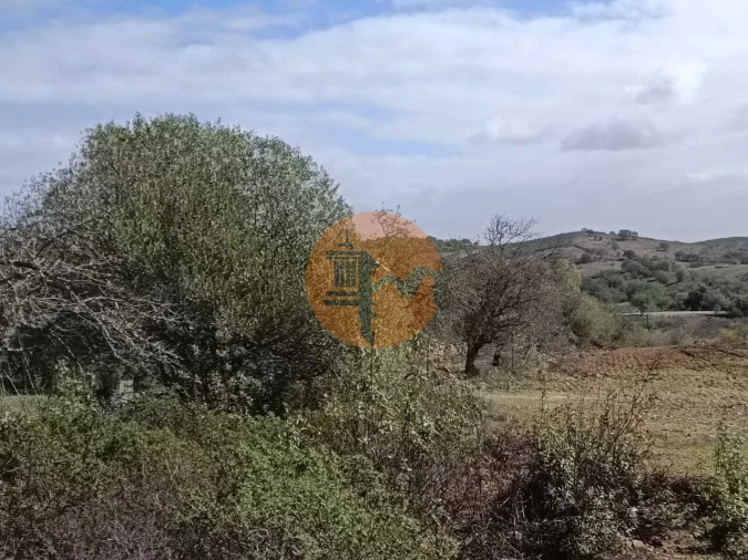 Terreno para Venda em Alcoutim e Pereiro Foto 17