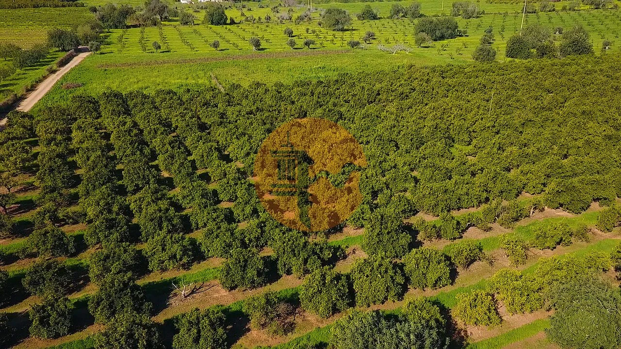 Quinta T6 para Venda em Tavira (Santa Maria e Santiago) Foto 43