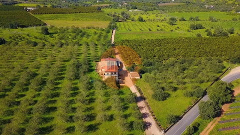 Quinta T6 para Venda em Tavira (Santa Maria e Santiago)