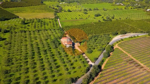 Quinta T6 para Venda em Tavira (Santa Maria e Santiago)