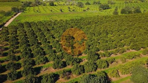 Quinta T6 para Venda em Tavira (Santa Maria e Santiago)
