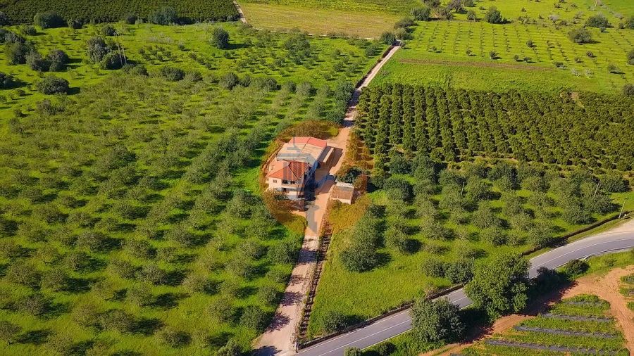 Quinta T6 para Venda em Tavira (Santa Maria e Santiago) Foto 44