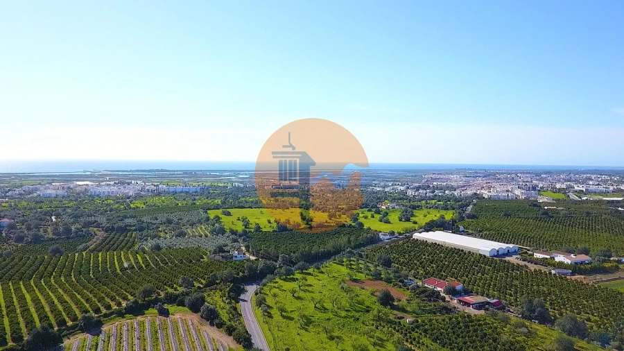 Quinta T6 para Venda em Tavira (Santa Maria e Santiago) Foto 45