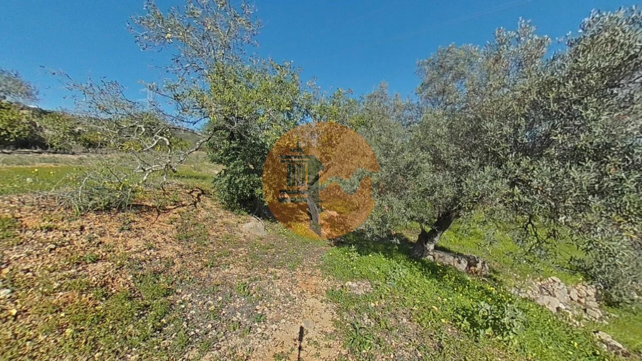 Terreno para Venda em Conceição e Estoi Foto 4