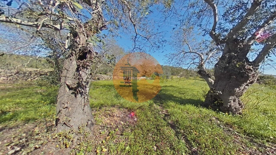 Terreno para Venda em Conceição e Estoi Foto 8