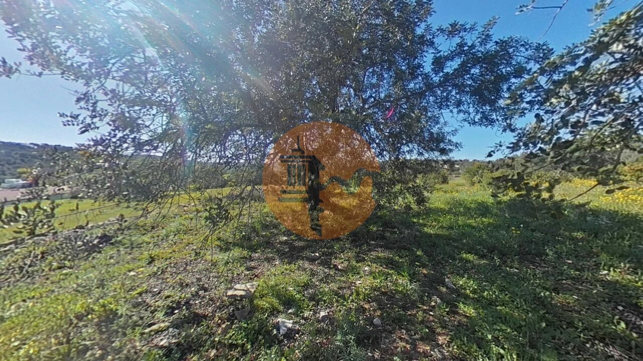 Terreno para Venda em Conceição e Estoi Foto 3