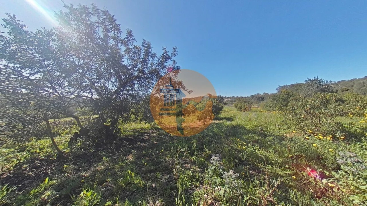 Terreno para Venda em Conceição e Estoi Foto 6