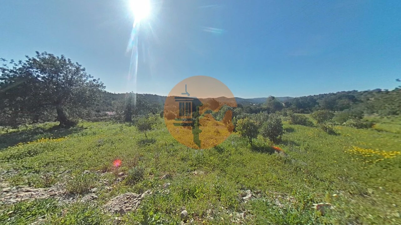 Terreno para Venda em Conceição e Estoi Foto 7