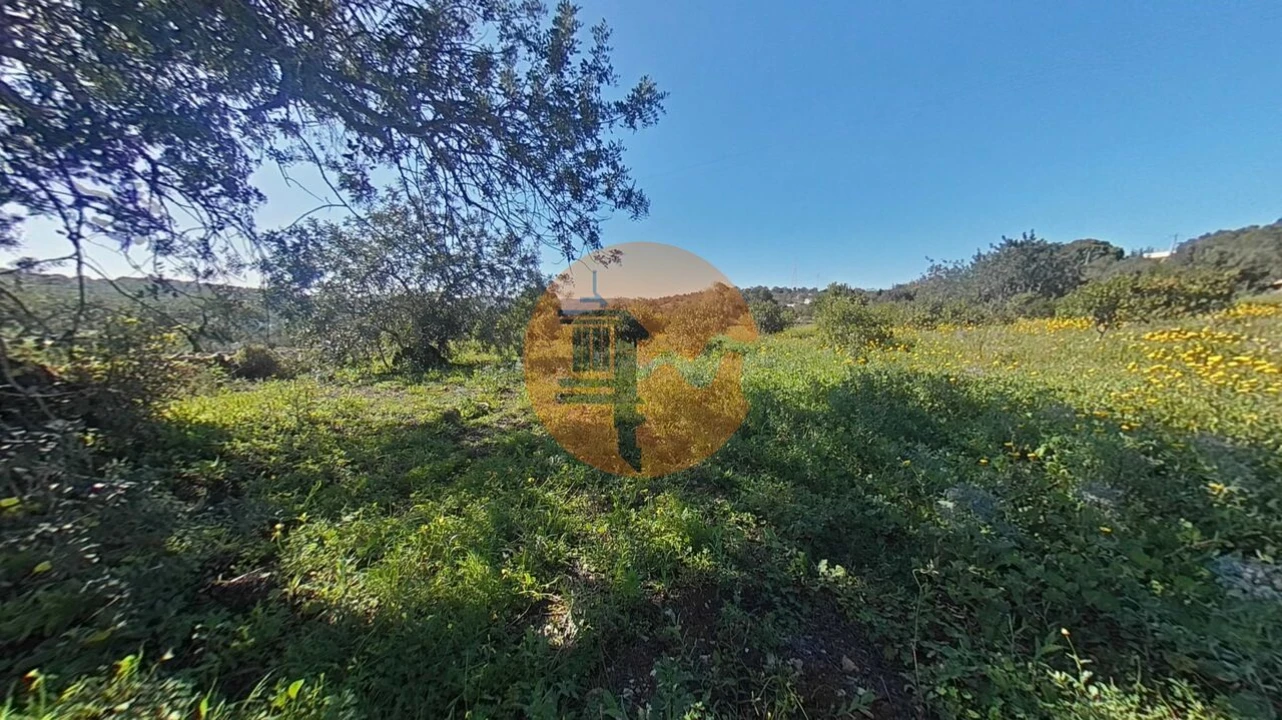 Terreno para Venda em Conceição e Estoi Foto 14