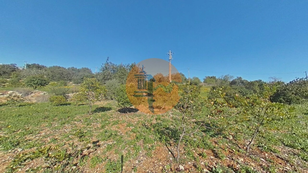 Terreno para Venda em Conceição e Estoi Foto 15