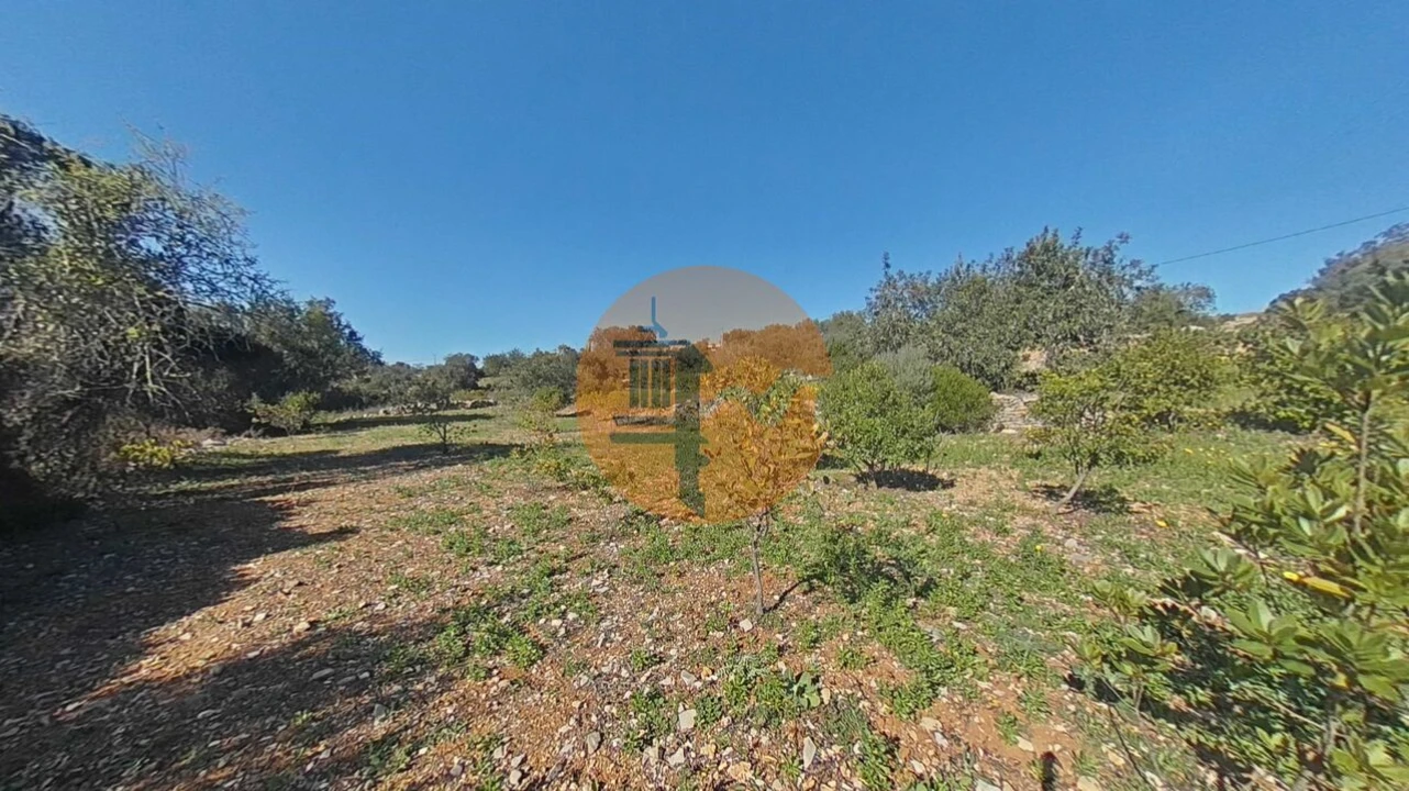 Terreno para Venda em Conceição e Estoi Foto 19