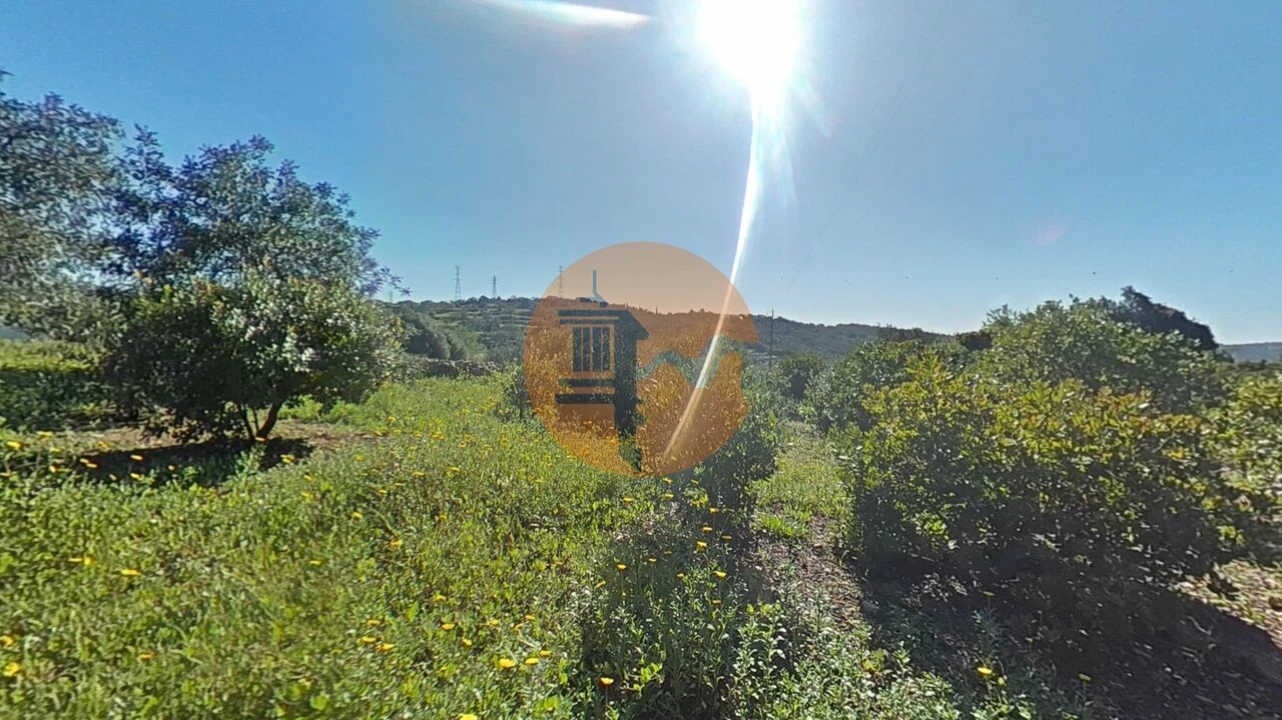 Terreno para Venda em Conceição e Estoi Foto 22