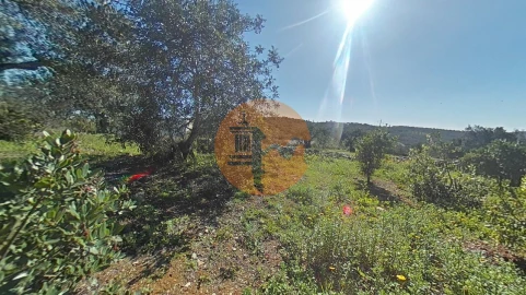 Terreno para Venda em Conceição e Estoi