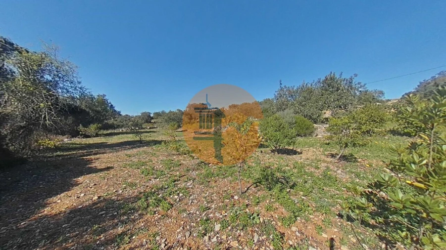 Terreno para Venda em Conceição e Estoi Foto 19