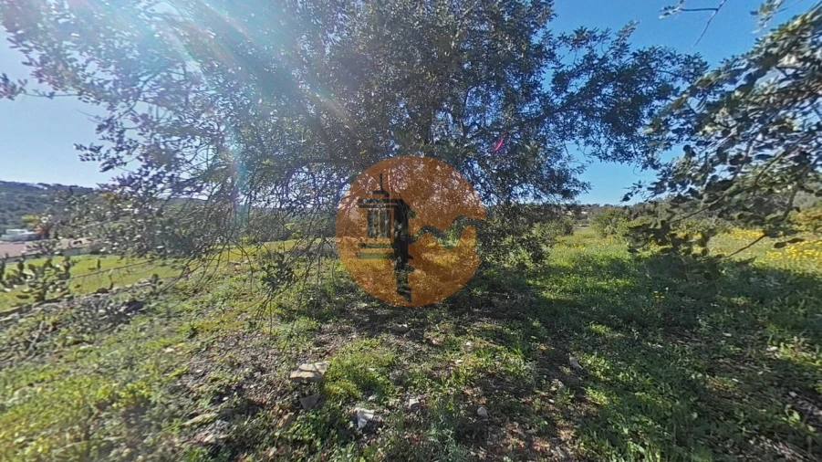 Terreno para Venda em Conceição e Estoi Foto 24