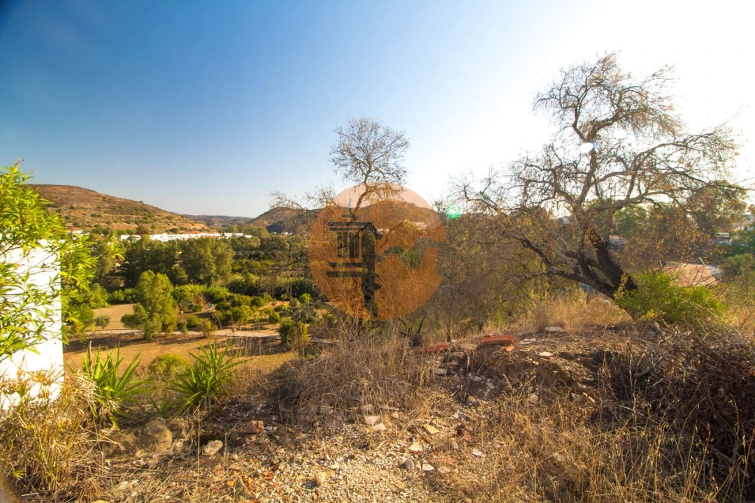 Terreno para Venda em Alcoutim e Pereiro Foto 18