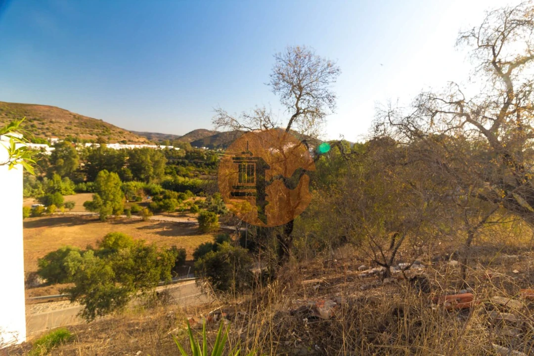 Terreno para Venda em Alcoutim e Pereiro Foto 19
