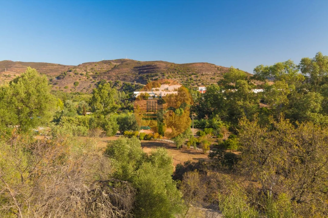 Terreno para Venda em Alcoutim e Pereiro Foto 20