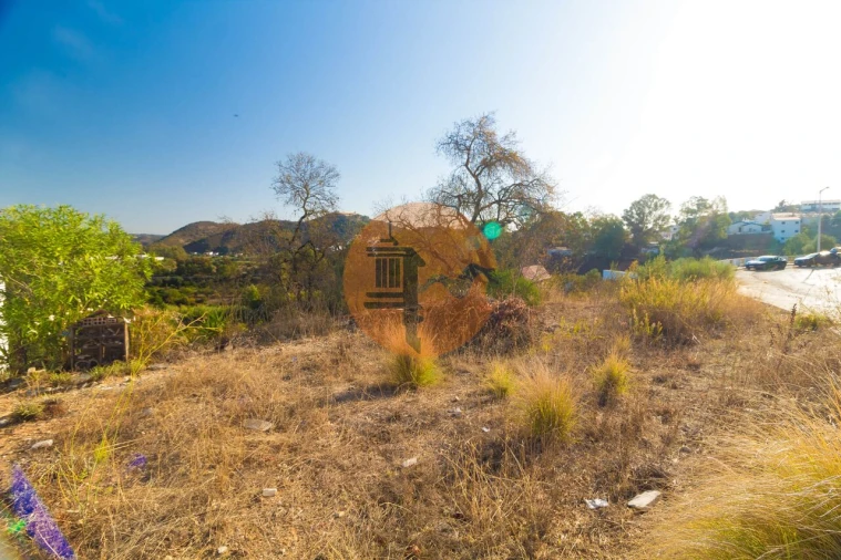 Terreno para Venda em Alcoutim e Pereiro Foto 16