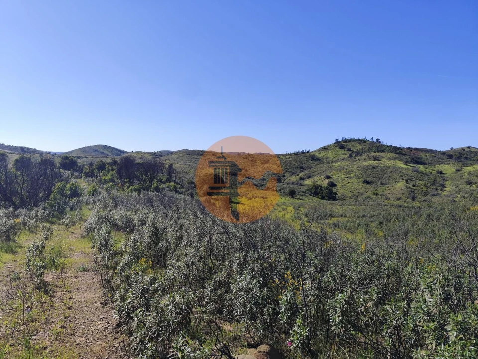 Terreno para Venda em Conceição e Cabanas de Tavira Foto 3