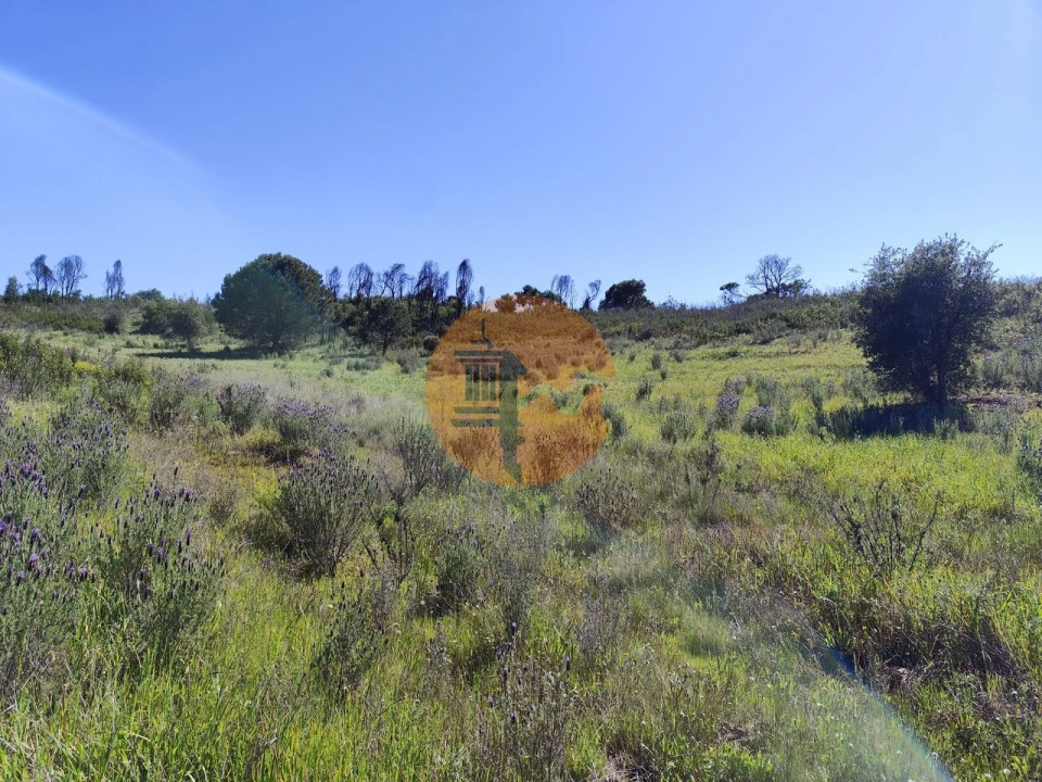 Terreno para Venda em Conceição e Cabanas de Tavira Foto 4