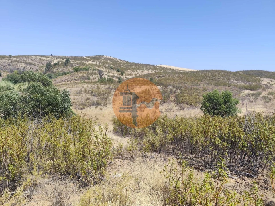Terreno para Venda em Conceição e Cabanas de Tavira Foto 5
