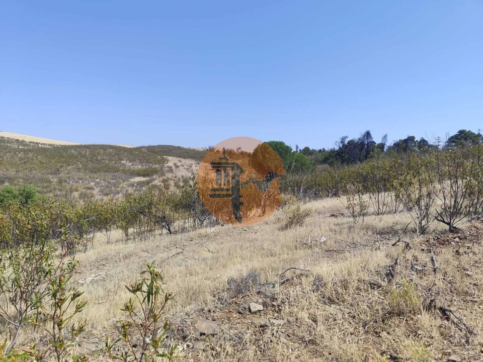 Terreno para Venda em Conceição e Cabanas de Tavira Foto 6
