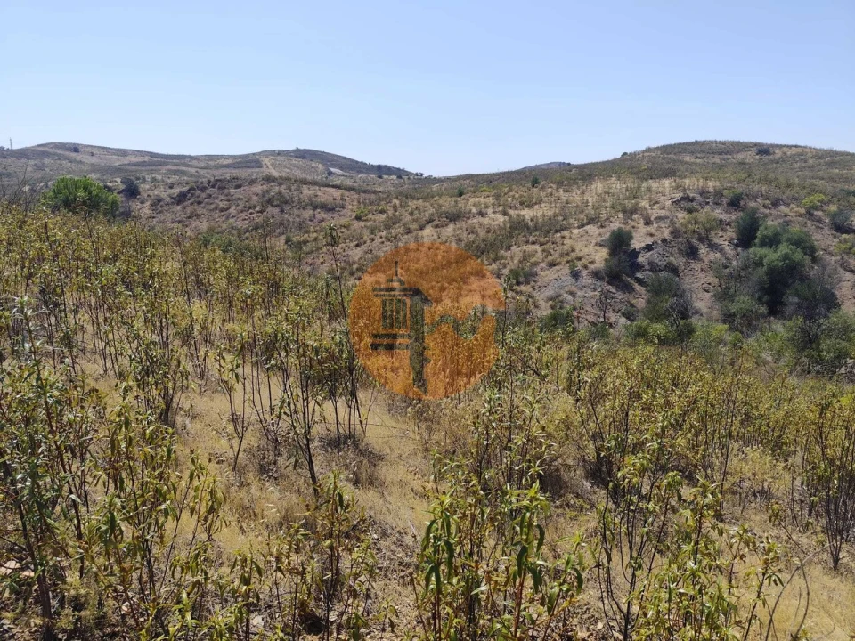 Terreno para Venda em Conceição e Cabanas de Tavira Foto 7