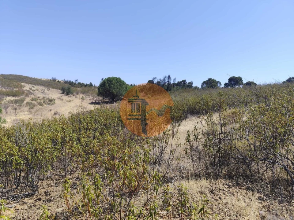 Terreno para Venda em Conceição e Cabanas de Tavira Foto 9