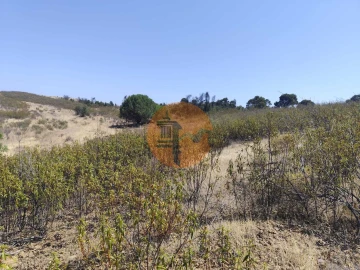 Terreno para Venda em Conceição e Cabanas de Tavira
