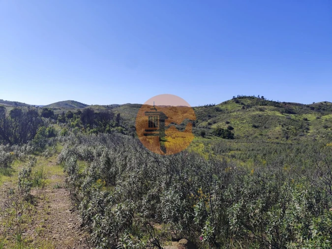 Terreno para Venda em Conceição e Cabanas de Tavira Foto 3