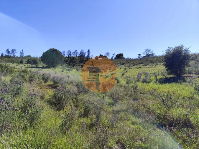 Terreno para Venda em Conceição e Cabanas de Tavira Foto 4