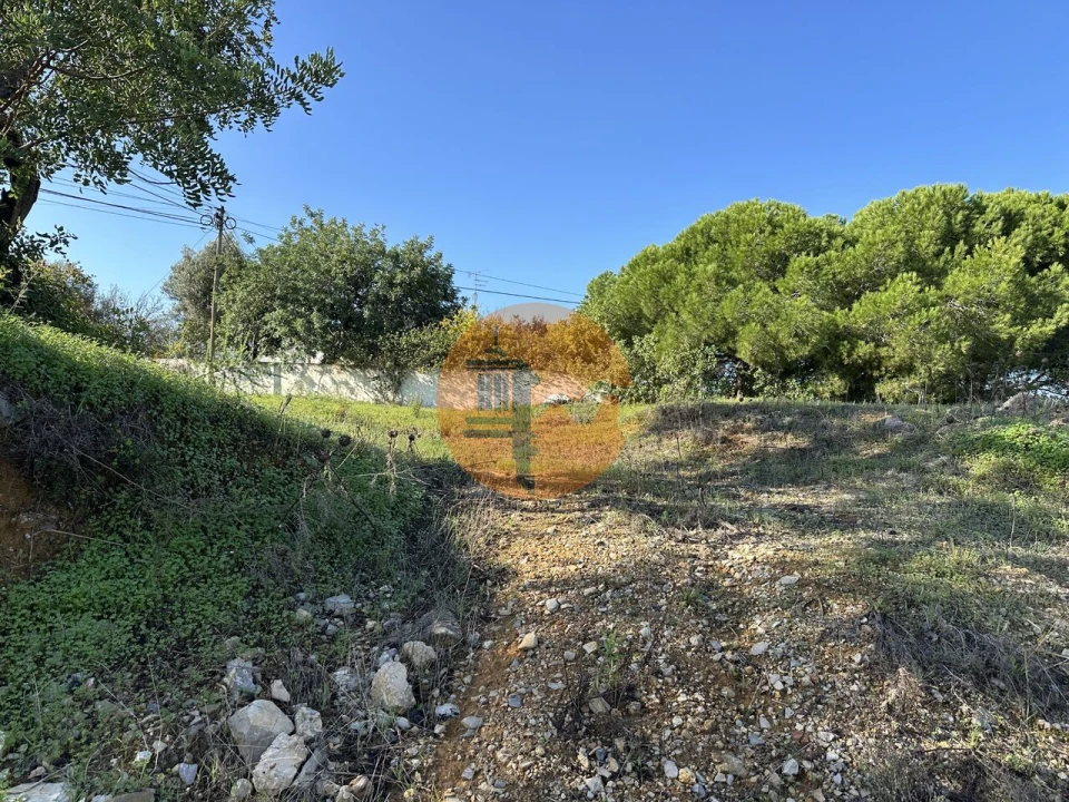 Terreno para Venda em Moncarapacho e Fuseta Foto 11
