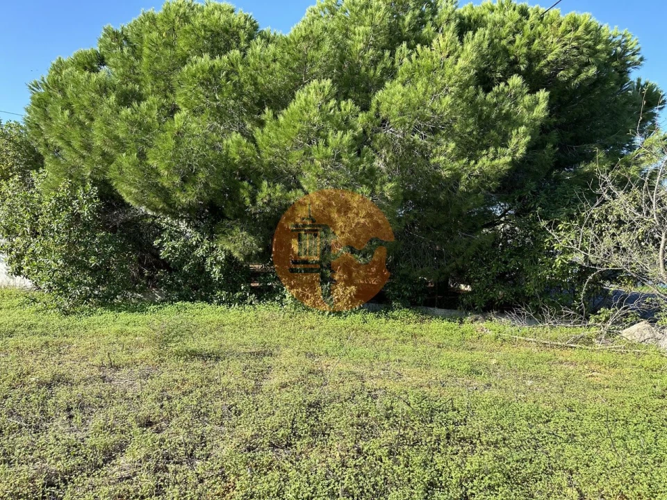 Terreno para Venda em Moncarapacho e Fuseta Foto 13