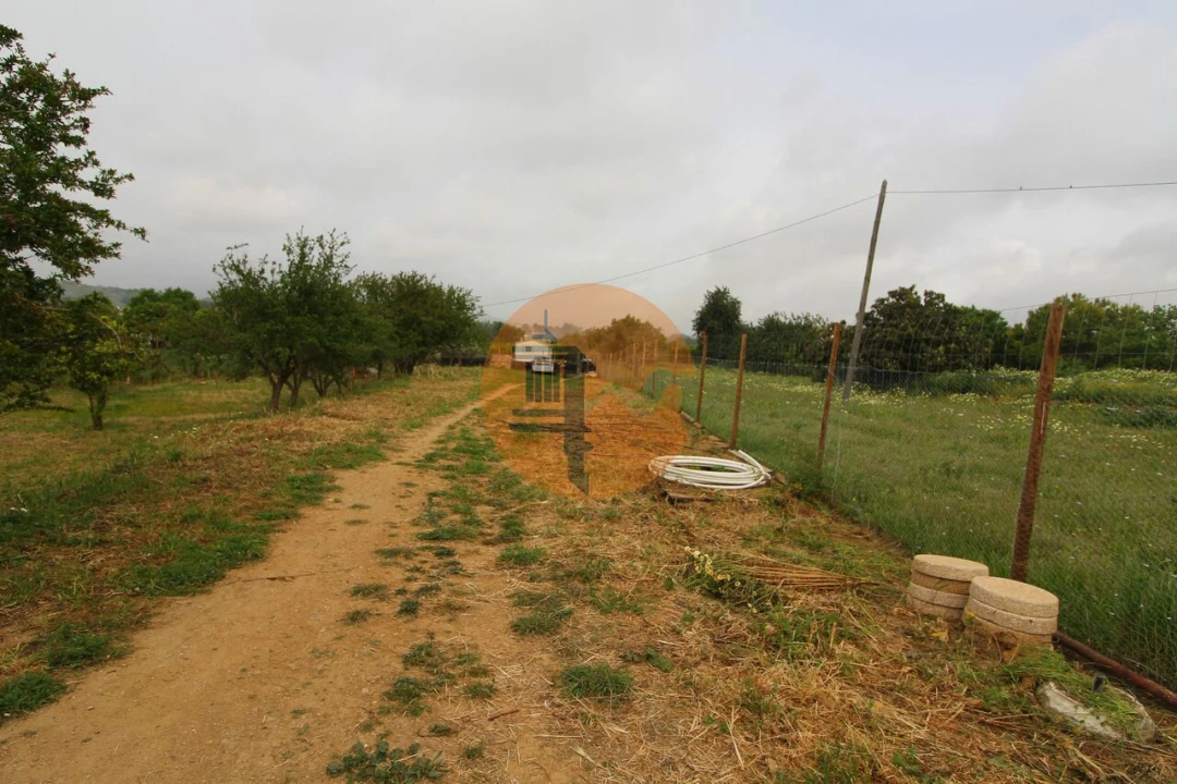 Terreno para Venda em Luz de Tavira e Santo Estêvão Foto 5