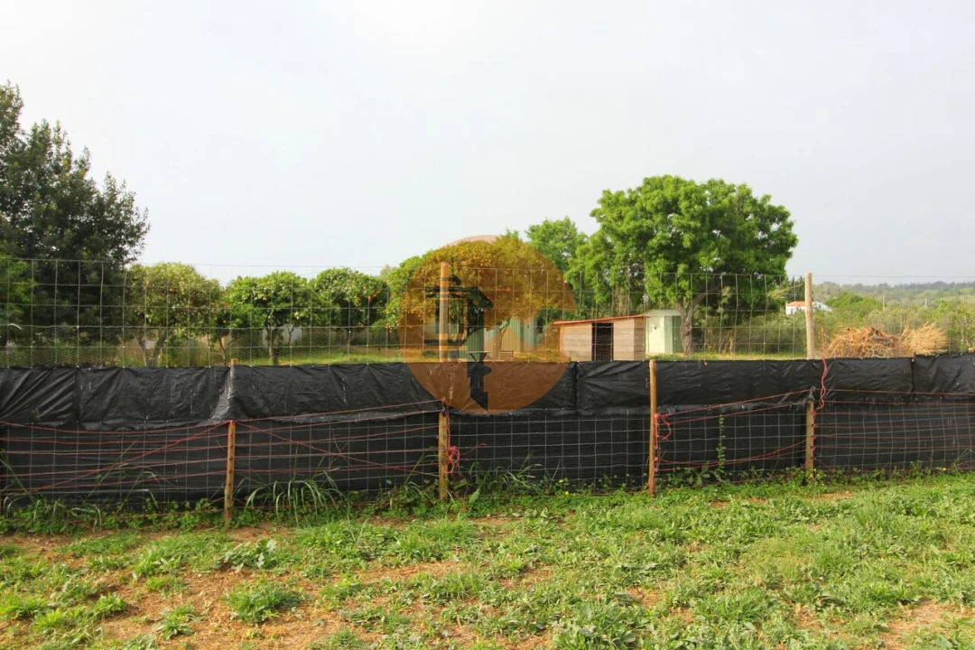 Terreno para Venda em Luz de Tavira e Santo Estêvão Foto 6