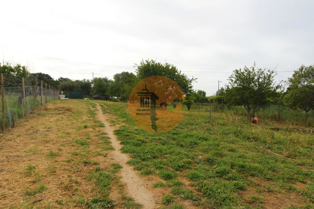 Terreno para Venda em Luz de Tavira e Santo Estêvão Foto 20