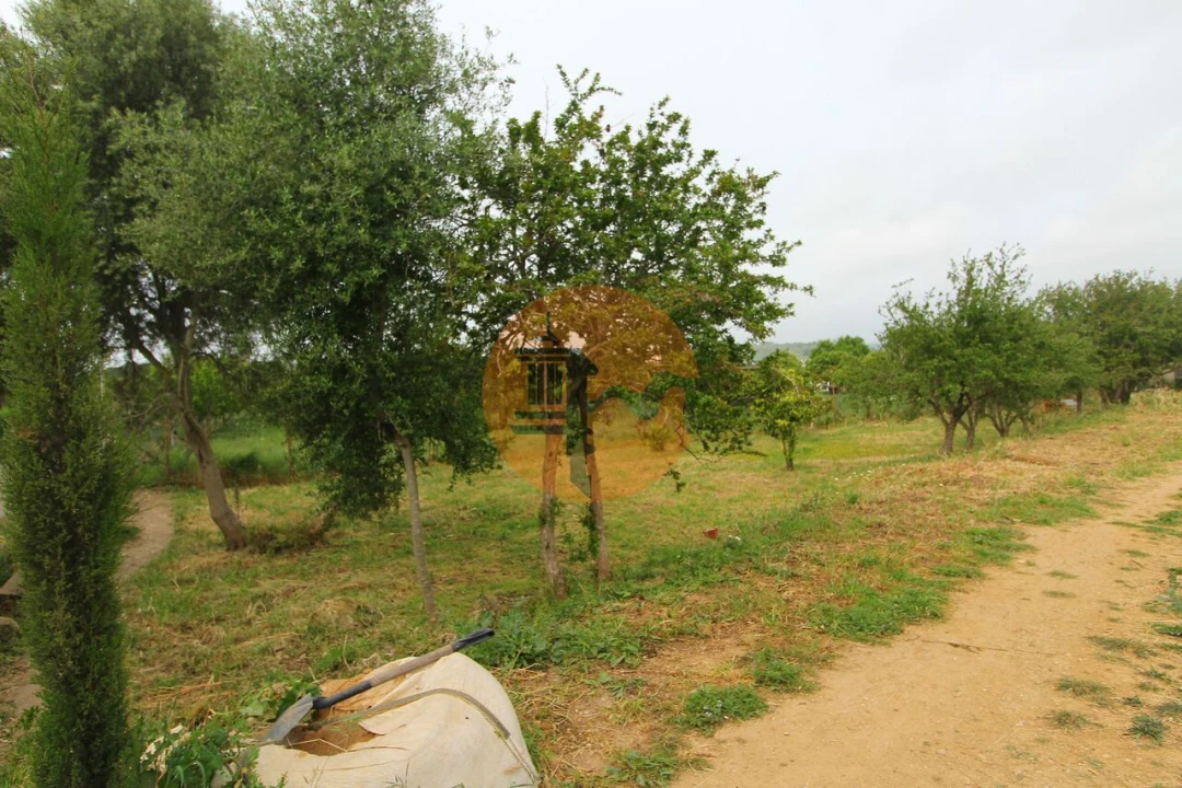 Terreno para Venda em Luz de Tavira e Santo Estêvão Foto 22