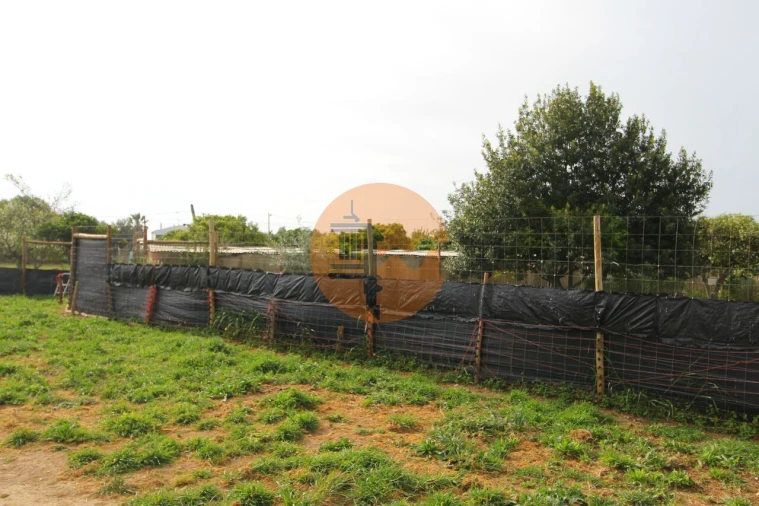 Terreno para Venda em Luz de Tavira e Santo Estêvão Foto 7