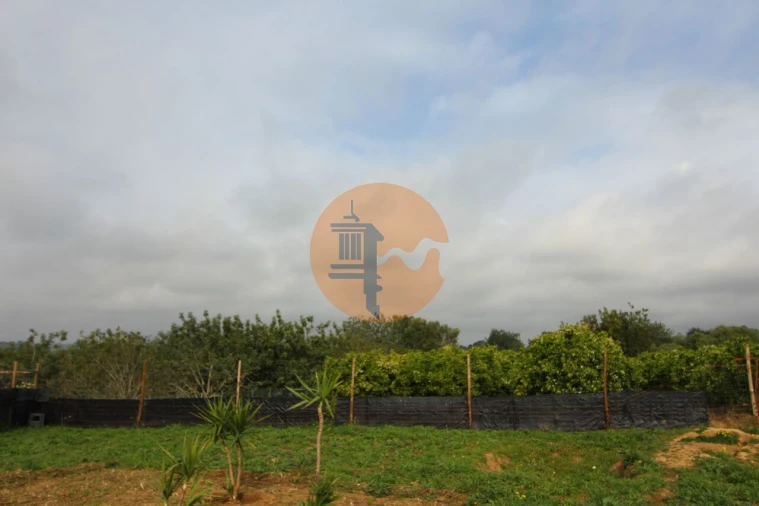 Terreno para Venda em Luz de Tavira e Santo Estêvão Foto 11