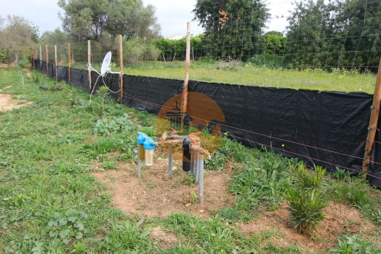 Terreno para Venda em Luz de Tavira e Santo Estêvão Foto 14