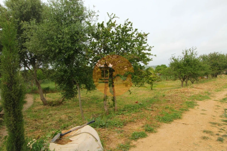 Terreno para Venda em Luz de Tavira e Santo Estêvão Foto 22