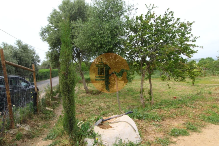 Terreno para Venda em Luz de Tavira e Santo Estêvão Foto 23